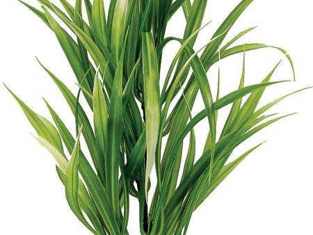 Blue Ribbon Pet Products - Colorburst Florals Blade Grass Plant For Sale