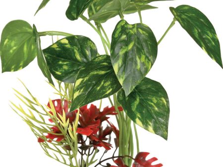 Blue Ribbon Pet Products - Colorburst Florals Pothos Variegated Leaf Cluster Online Sale