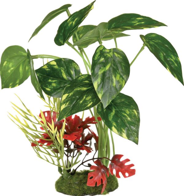 Blue Ribbon Pet Products - Colorburst Florals Pothos Variegated Leaf Cluster Online Sale