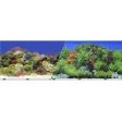 Blue Ribbon Pet Products - Double-sided Garden carribbean Coral Background Cheap