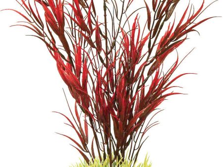 Blue Ribbon Pet Products - Colorburst Florals Water Harvest Plant Online Hot Sale