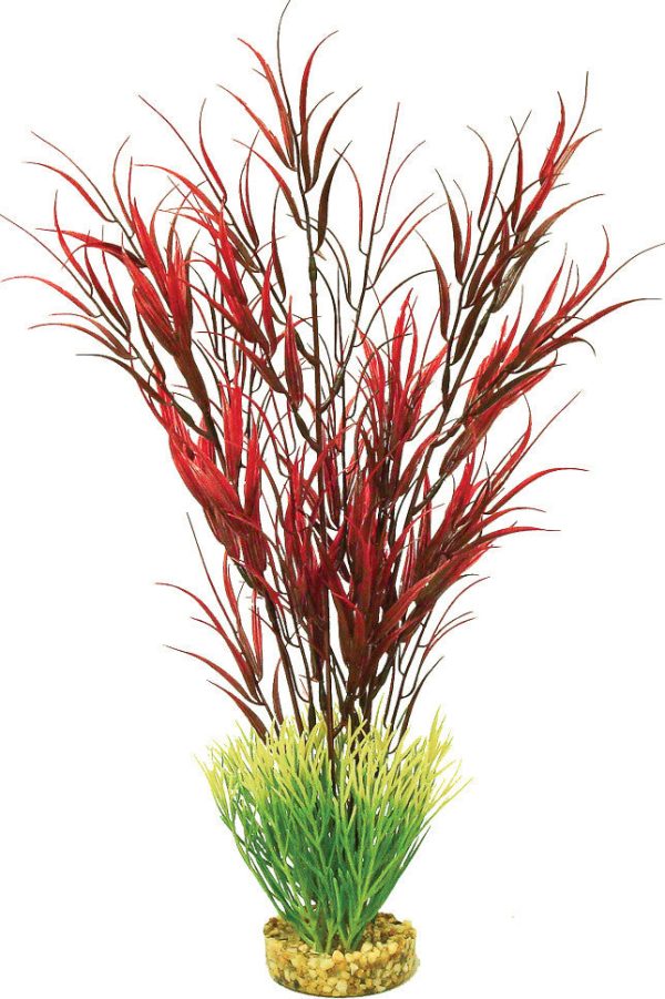 Blue Ribbon Pet Products - Colorburst Florals Water Harvest Plant Online Hot Sale