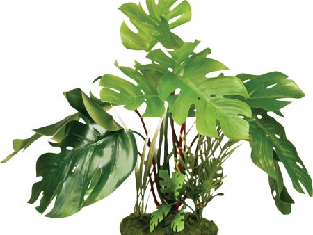 Blue Ribbon Pet Products-Colorburst Florals Split Green Leaf Philodendron Cheap