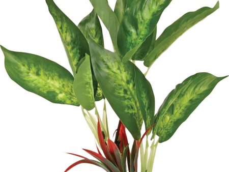 Blue Ribbon Pet Products - Colorburst Florals Dieffenbachia Variegated Leaf on Sale