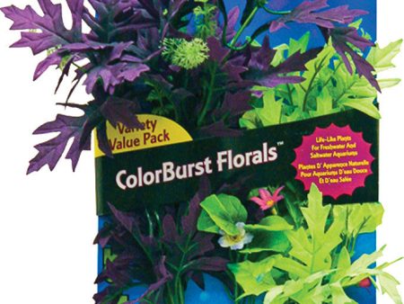 Blue Ribbon Pet Products - Colorburst Florals Amazon Broad Leaf Cluster Hot on Sale