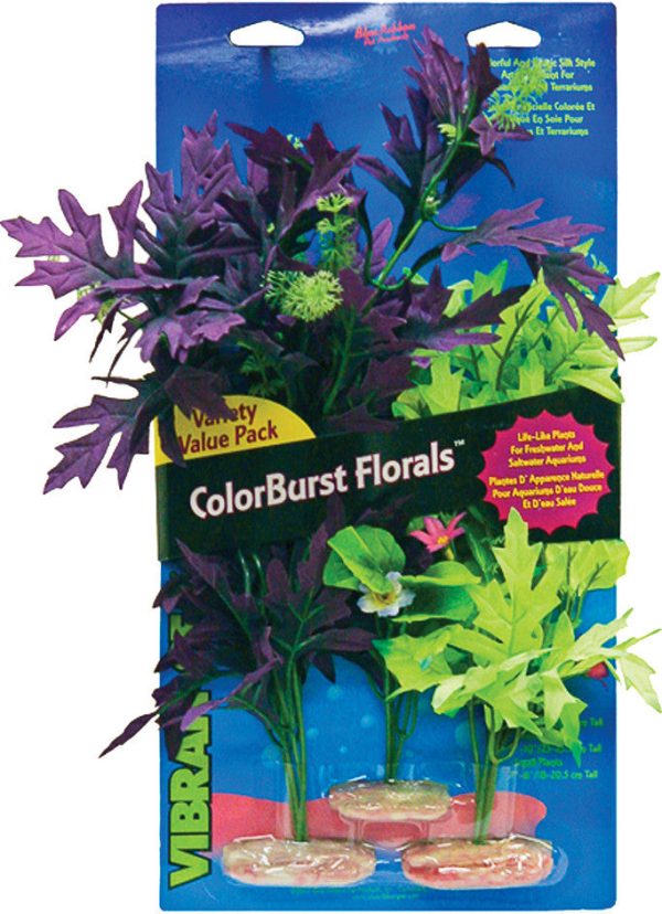 Blue Ribbon Pet Products - Colorburst Florals Amazon Broad Leaf Cluster Hot on Sale