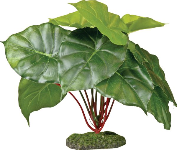 Blue Ribbon Pet Products-Colorburst Florals Alocasia Green Leaf For Cheap