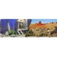 Blue Ribbon Pet Products - Double-sided Underwater Atlantis desert Background Online Sale